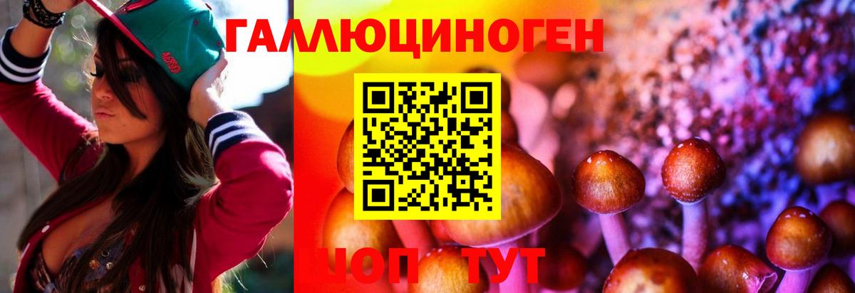 Псилоцибиновые грибы Magic Shrooms Северобайкальск